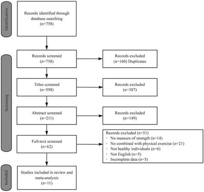 Effects of physical training combined with transcranial direct current stimulation on maximal strength and lower limb explosive strength in healthy adults